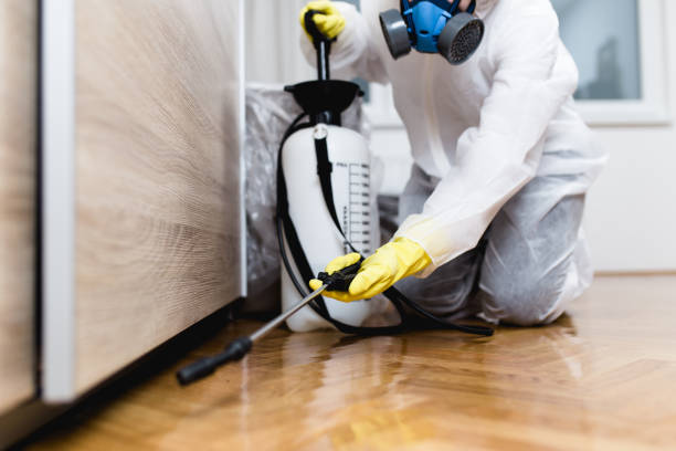 Best Best Pest Control Companies  in Harrisburg, IL