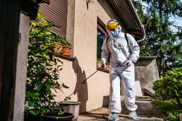 Best Pest Inspection Near Me  in Harrisburg, IL