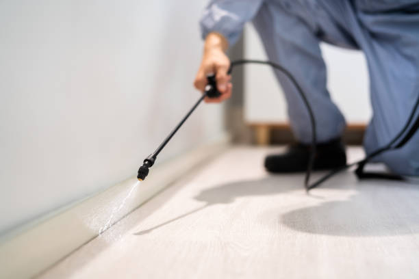 Best Flea Control Services  in Harrisburg, IL