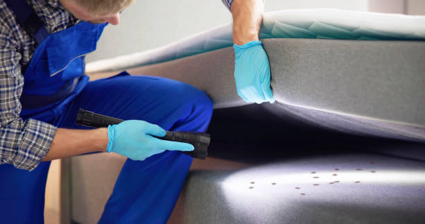 Best Local Pest Control Services  in Harrisburg, IL