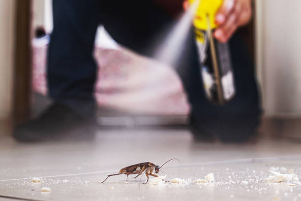 Best Affordable Pest Control Services  in Harrisburg, IL