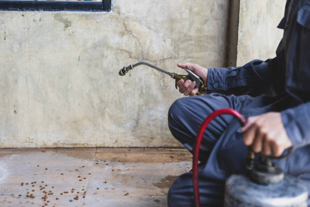 Best Mosquito Control Services  in Harrisburg, IL