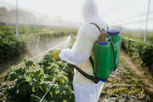 Best Pest Removal Services  in Harrisburg, IL